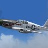 WarbirdSim P-51B 'Pistol-Packin'-Mama-II'.zip