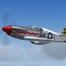 WarbirdSim P-51B 'Checkertail Clan 84'.zip