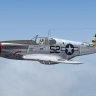 WarbirdSim P-51C Ckeckertail Clan Shimmy III.zip