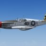 WarbirdSim P-51C Checkertail Clan LB.zip