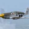 WarbirdSim P-51B-15-NA 'Bald Eagle'.zip