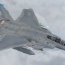F-15E 95th Fighter SQ.zip
