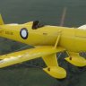 Ryan ST-A RAAF A50-28.zip