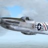 WOP 2 FS9 P-51D 'Yokahama-Yardbird'.zip