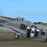 Warbirdsim P-51D 339th FG 6N-W "Boomerang!"