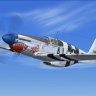 WarbirdSim P-51B-10-NA 'Deuces Wild'.zip