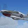 FS2004 WarbirdSim P-51C-10-NT 'Gladys' (4700) (Re-Paint).zip