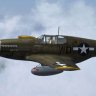 WarbirdSim FS9 P-51B MEG_X.zip