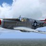 WBS FS9 FL2 P-51 1st Scouting Force.zip