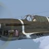 IRIS P-40E model tweaks (deshined).zip