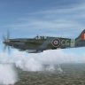 Real Air Spitfire XIV RM787 Colin Gray