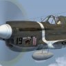 IRIS P-40F, L and N model tweaks (deshined).zip