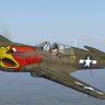 FS9 Iris P-40N Parrothead Repaint.zip