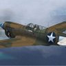 FS9 Iris P-40N 7th FS 49th FG.zip