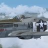 Warbirdsim P-51D-5 363rd FG A9-I "Courser II"