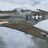 Warbirdsim P-51D-5 20th FG KI-S