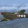 FS9 Iris P-40L 99th FS Tuskegee Repaint.zip