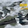 SU-27 Russian winter Camo.zip