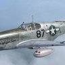 Warbirdsim P-51B 325th FG #87 "Delightful Dee"