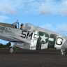 Warbirdsim P-51B 15th TRS 5M-G