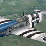 Warbirdsim P-51B 352nd FG PZ-D "the Flying Scot"