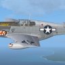 Warbirdsim P-51B 15th 51st FG "Gladys"