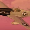 Warbirdsim P-51B 23rd FG #27 "Rose's Raider"