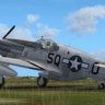 Warbirdsim P-51B 339th FG 5Q-O "Punkie"