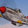 P51D Jacquie of the 322 FG Red Tails.zip