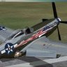 A2A WOP3 P51-D Mustang POW / MIA