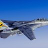 Emilio's VF-31 CAG repaint from 1995.zip