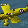 Alabeo Waco YMF5 repaint RAF trainer theme