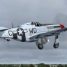 Warbirdsim P-51D Col. Blakeslee's WD-C 44-13779