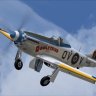 Dooleybird for Warwick Carter's P51