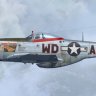 Warbirdsim "Ridge Runner III"