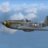 Warbirdsim P-51D-10-NA Mustang "KATYDID"