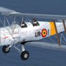 Belgian Tiger Moth