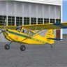 RealAir Scout Royal Canadian Air Cadets FSX.zip