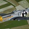 Warbirdsim ANGEL'S PLAYMATE