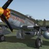 Warbirdsim P-51D Mustang "Hurry Home Honey"