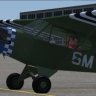 FSX WACO CTO-R Repaint