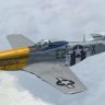 Warbirdsim P-51S "Betty Lee III"