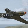 Warbirdsim_P-51-D_little friends texture_pack_01