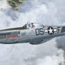 Warbirdsim P-51D Mustang "Tiger's Revenge"