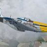 Warbirdsim P-51D Mustang "Big beautiful Doll - 361st FG"