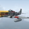 Warbirdsim_P51D_Detroit_Miss