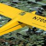 "Flying Farmer" repaint for A2A Piper Cub for FSX.zip