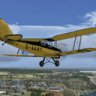 Ant's Tiger Moth G-AAMY.zip