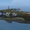 A2A P-47D 4K-R "Rae"