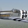 FSX WarbirdSim P-51B-7-NA 'Beantown Banshee'